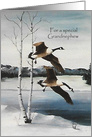 Christmas, For a Grandnephew Painting Canadian Geese card