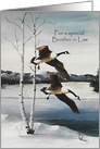 Christmas, For Brother in Law Painting of Flying Canadian Geese card