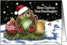 Christmas For a Great Granddaughter Hedgehog With Christmas Ornaments card