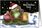 Christmas For a Cousin Hedgehog With Christmas Ornaments card