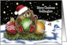 Christmas For a Goddaughter Hedgehog With Christmas Ornaments card