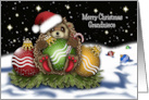 Christmas For a Grandniece Hedgehog With Christmas Ornaments card