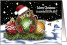 Christmas For a Special Little Girl Hedgehog With Christmas Ornaments card