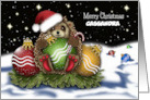 Christmas Customize With Any Name Hedgehog With Christmas Ornaments card