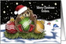 Christmas For A Godson Hedgehog With Christmas Ornaments card