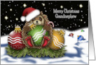 Christmas For A Grandnephew Hedgehog With Christmas Ornaments card