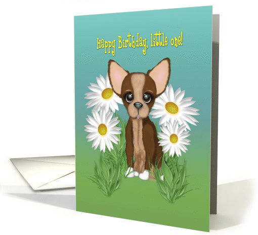 Adorable Chihuahua sitting in Daisies, for a Young Childs... (1560410)