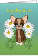 Adorable Chihuahua sitting in Daisies, for a Young Childs Birthday card
