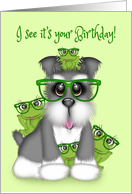 Birthday for a Boy, Schnauzer with Glasses and Frogs with Glasses card