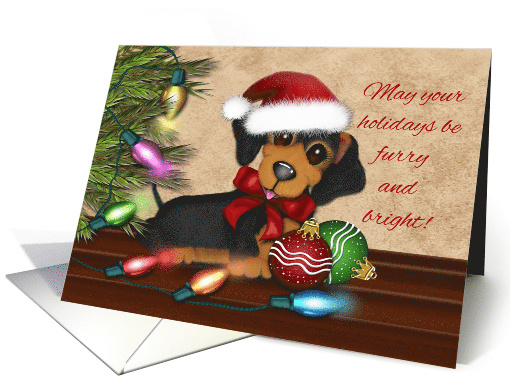Christmas Holiday with a Dachshund Wearing a Santa Hat,... (1568696)