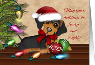 Christmas Holiday with a Dachshund Wearing a Santa Hat, Christmas tree card
