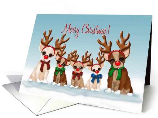 Merry Christmas, Five Chihuahuas with Red Noses Wearing Antlers card