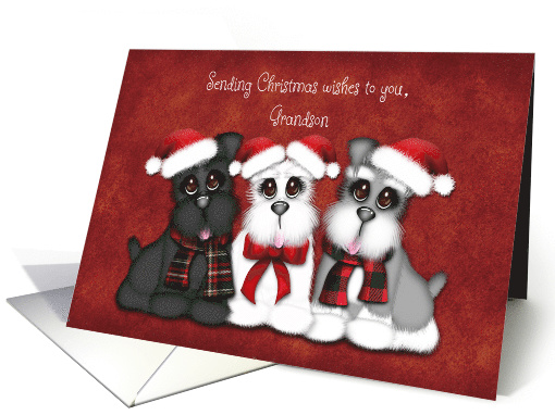 Sending Christmas Wishes to you Grandson, Three Puppies with hats card