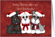 Christmas Wishes to you Great Granddaughter, Three Puppies with hats card