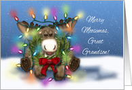 Merry Moosemas for Great Grandson Moose Tangled in Christmas lights card