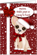 Nephew, Santa Paws is Coming to Town, Chihuahua with Santa Hat card