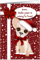 Niece, Santa Paws is Coming to Town, Chihuahua with Santa Hat card