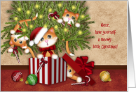 Niece, Meowy Christmas, Kittens in a Present, Kittens in Tree card