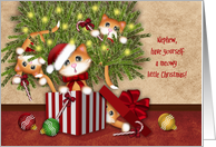 Nephew, Meowy Christmas, Kittens in a Present, Kittens in Tree card