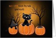 Spooktacular Halloween Granddaughter, Kittens in Pumpkins card