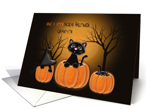 Spooktacular Halloween Grandson, Kittens in Pumpkins card (1572158)