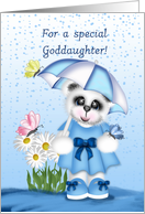 Birthday for Goddaughter, White Teddy Bear, Butterfly,Umbrella card