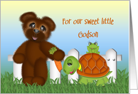 Birthday for a Sweet Godson,Teddy Bear Frog sitting on Turtle card