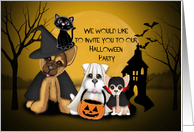 Kids Halloween Party Invitation, Puppies Dressed in Costumes and a Cat card