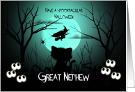 Halloween for a Great Nephew, Spooky, Shilouette Cat, Witch, Moon card