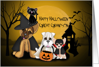 Halloween for Great Grandson, Puppies Dressed in Costumes and a Cat card