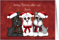 Sending Christmas Wishes to you, Stepson, Three Puppies with hats card