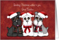 Sending Christmas Wishes to you, Great Nephew Three Puppies with hats card