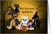 Halloween for Grandnephew, Puppies Dressed in Costumes, and a Kitten card