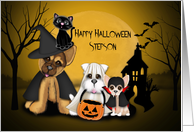 Halloween for Stepson, Puppies Dressed in Costumes, and a Kitten card