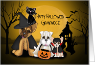 Halloween for Grandniece, Puppies Dressed in Costumes, and a Kitten card