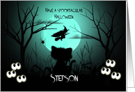 Halloween for Stepson Spooky, Shilouette Cat, Flying Witch, Moon card