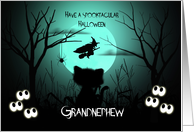 Halloween for Grandnephew Spooky, Shilouette Cat, Flying Witch, Moon card
