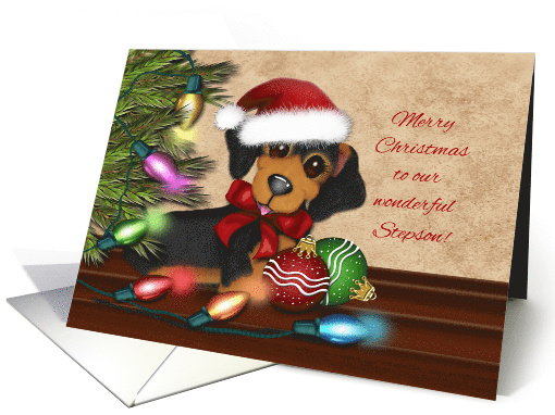 Merry Christmas for Stepson, Dachshund Wearing a Santa Hat card