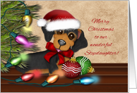 Merry Christmas for Stepdaughter, Dachshund Wearing a Santa Hat card