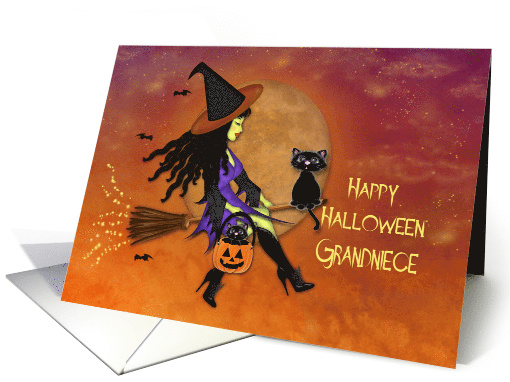 Halloween for a Grandniece, Pretty Witch Riding a Broom,... (1582148)