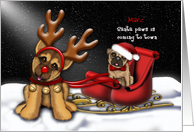 Santa Paws is Coming to Town, Custom Name , Shepherd ,Pug Puppies card