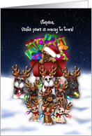 Christmas, Stepson, Santa Paws is Coming to Town Puppies Red Sleigh card