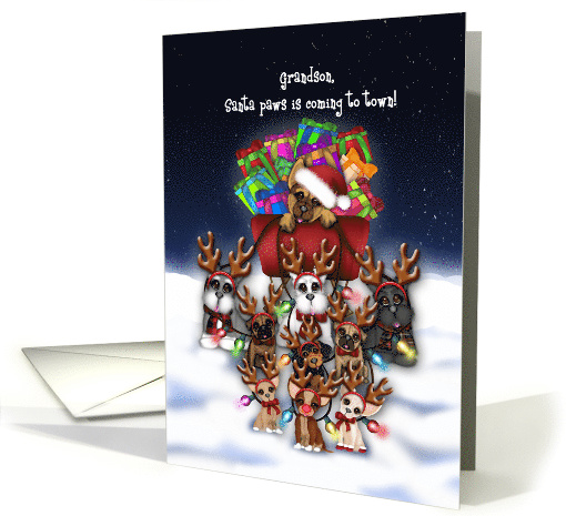 Christmas, Grandson, Santa Paws Coming to Town with Puppies card