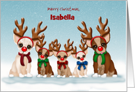 Merry Christmas, Customize Name, Chihuahuas with Red Noses and Antlers card