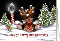 Christmas for a Grandson, Reindeer at the North Pole card