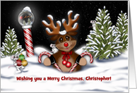 Christmas, Customize Name, Reindeer at the North Pole card