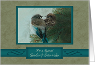 Christmas, For Brother and Sister in Law, Birds in Tree Branch Art card