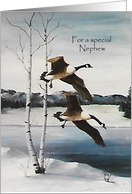 Christmas For a Nephew, Painting Flying Canadian Geese card