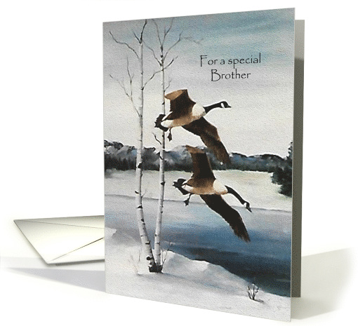Christmas, For Brother Painting of Flying Canadian Geese card