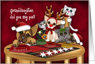 Christmas, For a Granddaughter, Puppies, kittens Waiting for Pie card